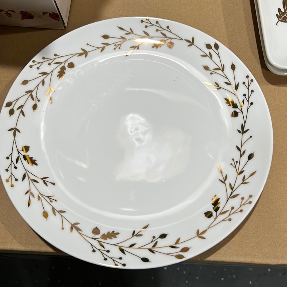 Pier 1 Dinner plate